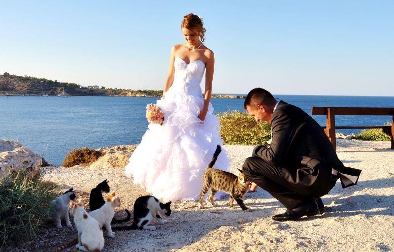 Ślub na Cyprze 23 Ślub na Cyprze - Paulina i Włodzimierz