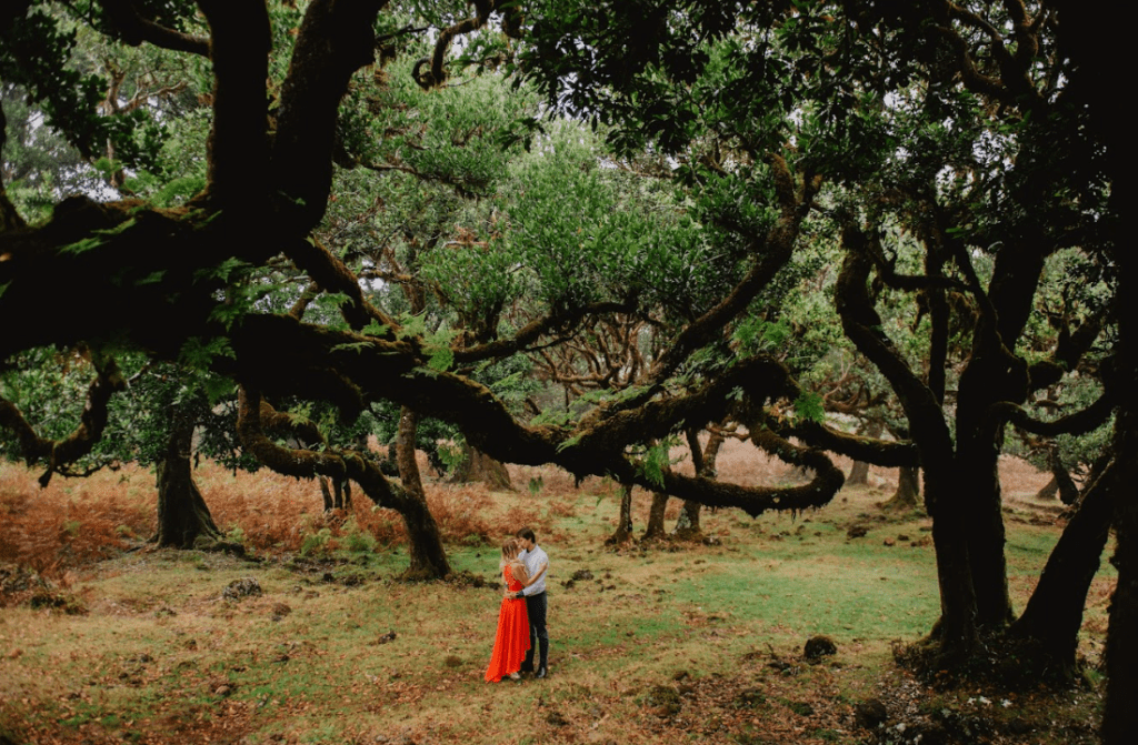 Ślub na Maderze Las Fanal