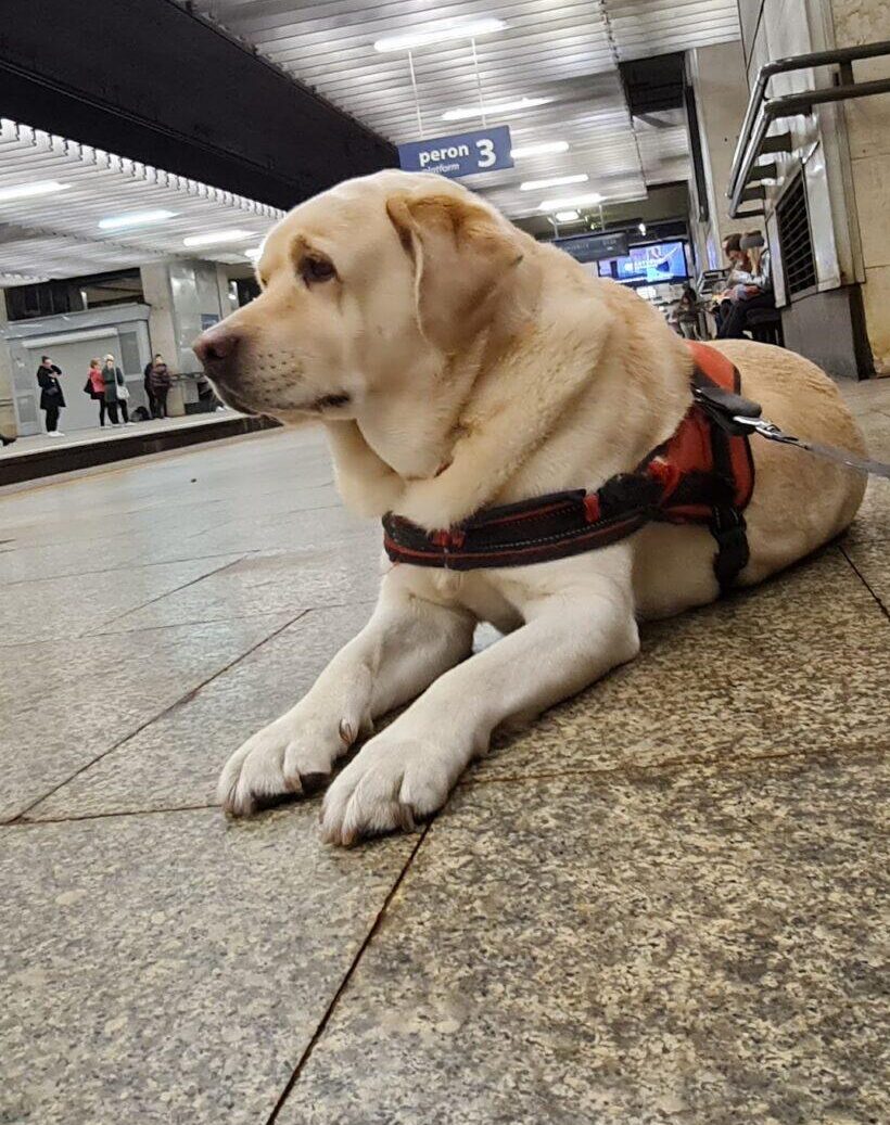 O nas 30 20220929 212642 scaled e1735095067535