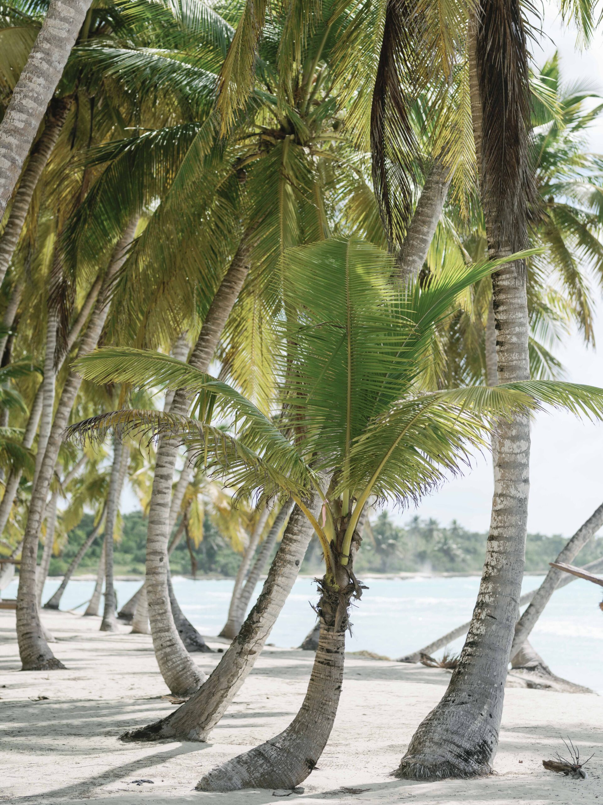 Ślub w Dominikanie 15 Ślub na Saonie, Dominikana