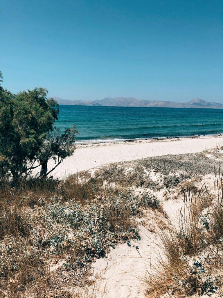 Ślub na Kos 37 Ślub na Kos