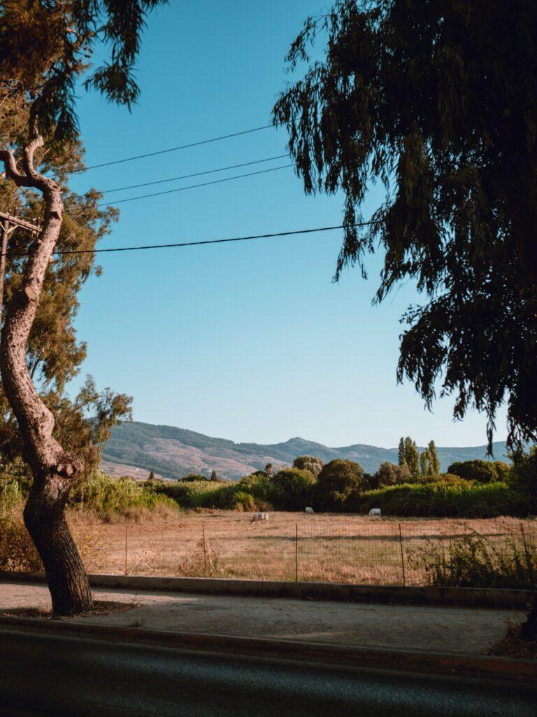 Ślub na Kos 34 Ślub na Kos